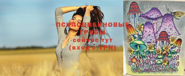 бошки Алексеевка