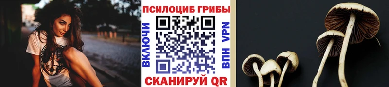 мега как зайти  купить наркотики сайты  Новокубанск  Псилоцибиновые грибы Magic Shrooms 