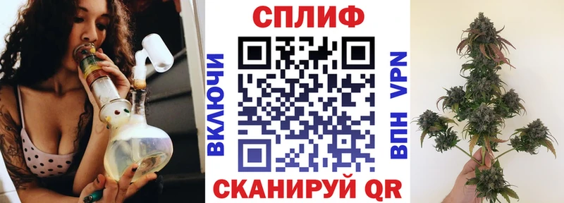 Бошки марихуана марихуана  где купить   Новокубанск 